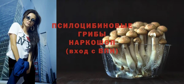 стаф Беломорск