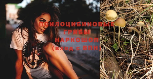 стаф Беломорск