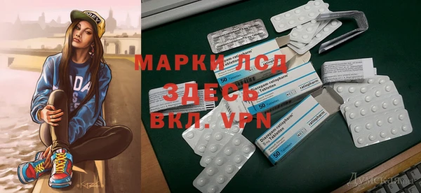 стаф Беломорск